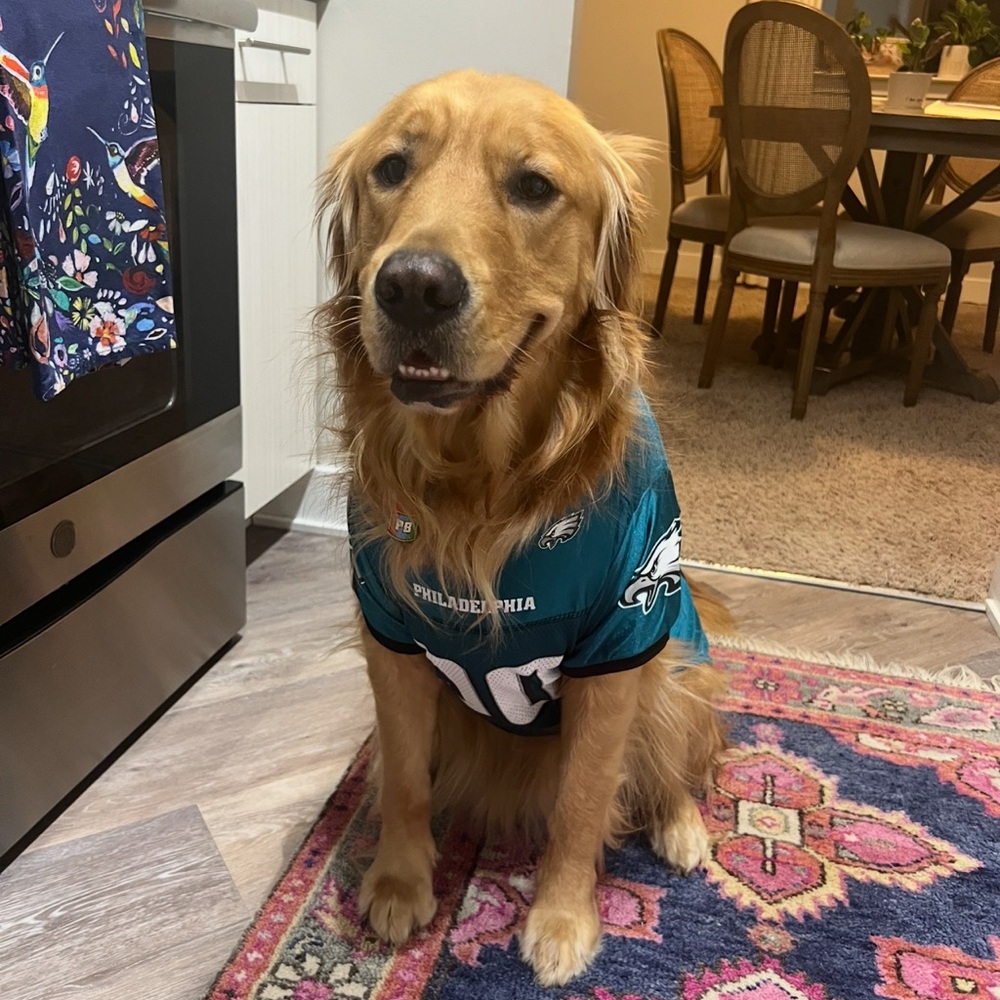 Dogs Philadelphia Eagles Jersey